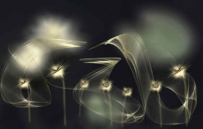 Stipsits Ibolya::The splendour of dandelions